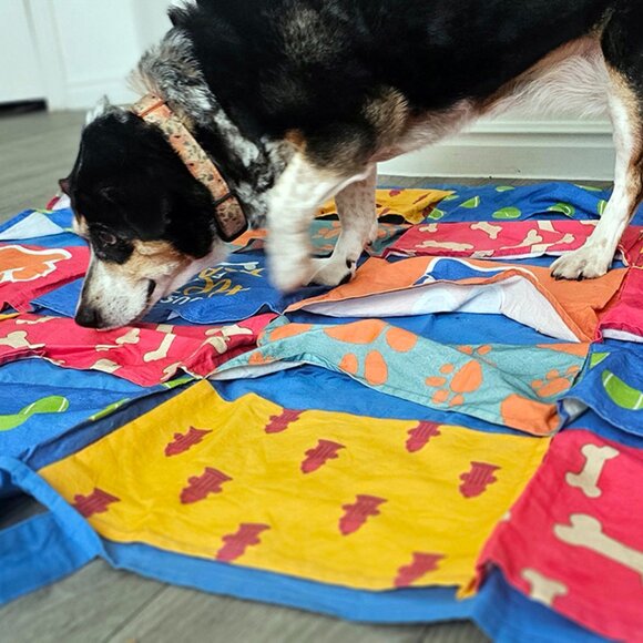 The Busy Blanket Dog Snuffle Mat Treat Sheet Snuffle Mat for All Breeds & Sizes - Picture 4 of 11